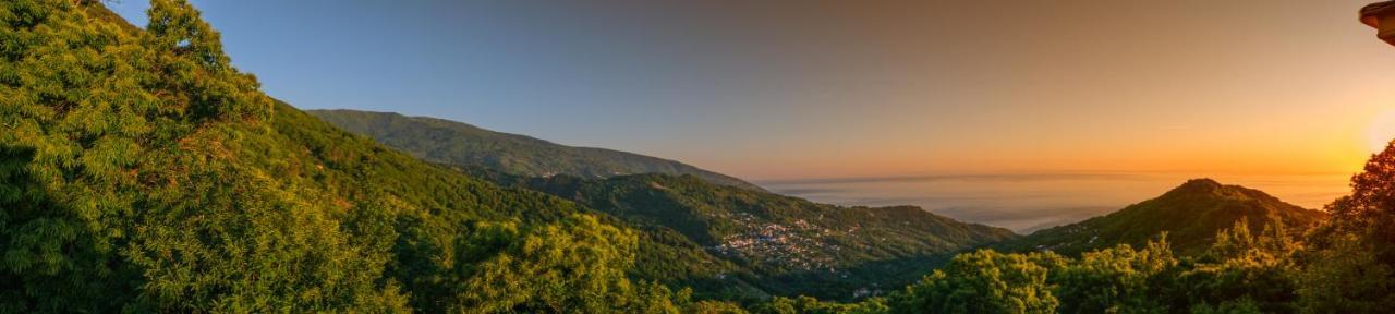 A Dream Deferred Villa Pelion Kissos  Exteriör bild